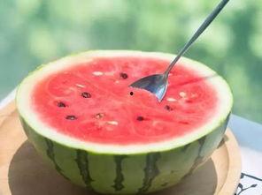 娱乐吃瓜酱的模板怎么做