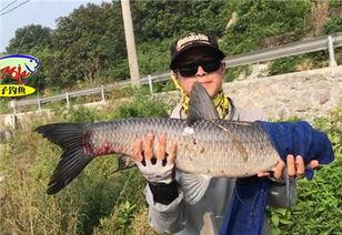 青鱼视频国产在线