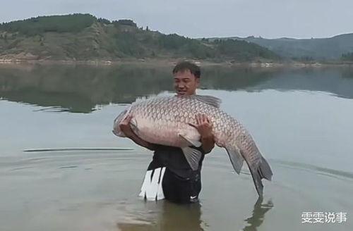 青鱼视频国产在线